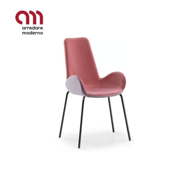 Dalia Midj Silla PA M_M TS