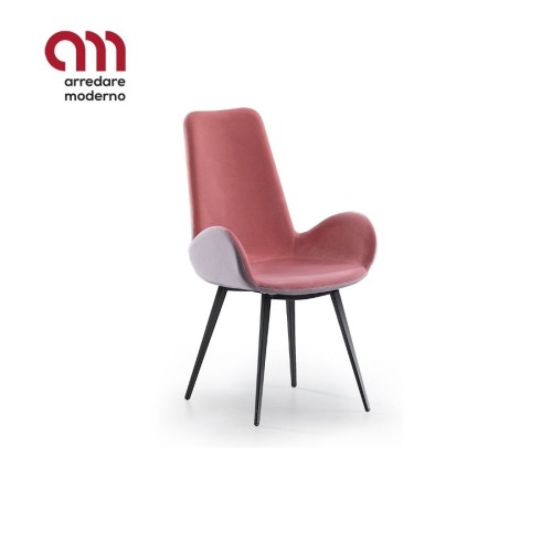 Dalia Midj Silla PA M_Q TS