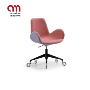 Dalia Midj Silla DPB TS