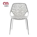 Caprice Casprini Silla Tubo