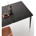 Liuto XL Alivar Mesa extensible