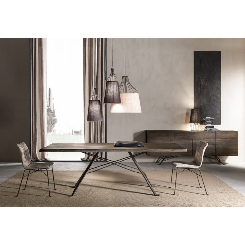 Sofia Cantori Araña