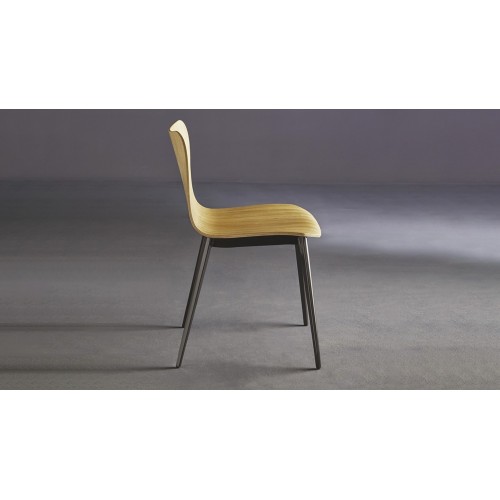 Dandy.tt Colico Silla