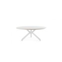 Verve Enrico Pellizzoni Mesa