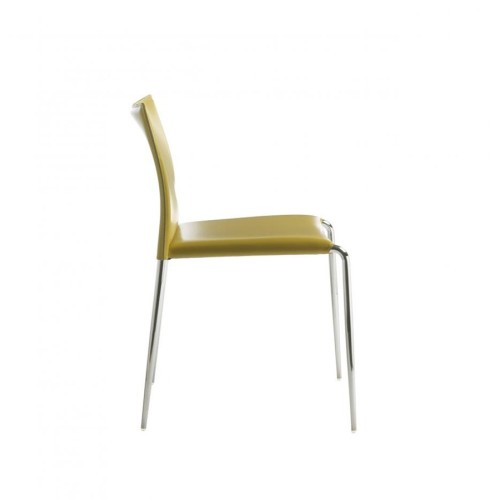 Gazzella Enrico Pellizzoni Silla