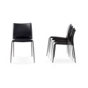Gazzella Enrico Pellizzoni Silla