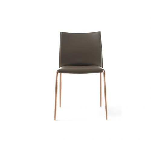 Gazzella Enrico Pellizzoni Silla