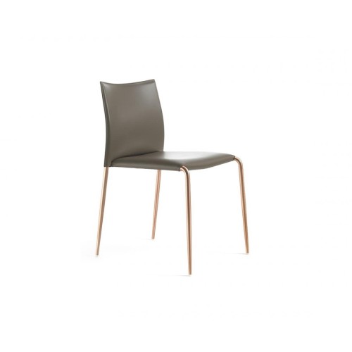 Gazzella Enrico Pellizzoni Silla
