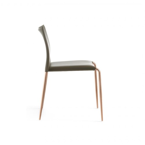 Gazzella Enrico Pellizzoni Silla