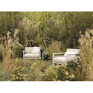 sillon-maximo-nardi
