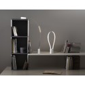 Fluida Martinelli Luce Lámpara de mesa