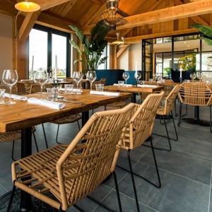 silla-tropicalia-moroso