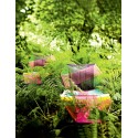 Tropicalia Moroso Sillon Chaise lounge