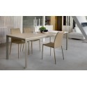 Amy Ingenia Casa Silla