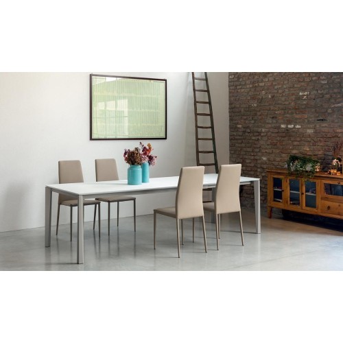Renee Ingenia Casa Silla