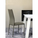 Renee Ingenia Casa Silla