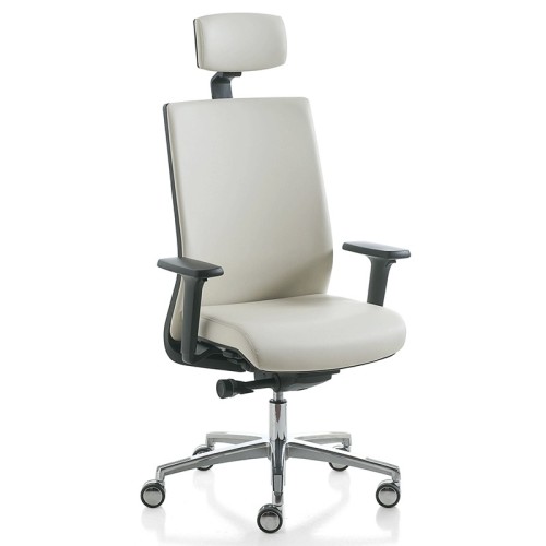 Karma Kastel Silla de oficina ergonómica con reposabrazos