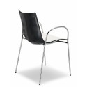 Zebra bicolor Scab Silla con reposabrazos