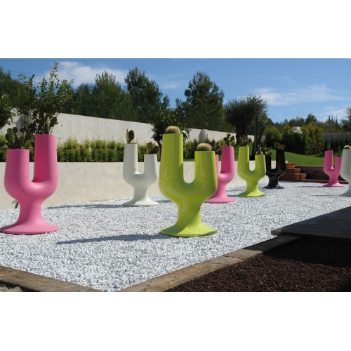 Cactus Plust Jarrón