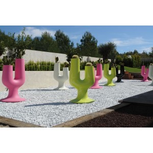 jarron-cactus-plust