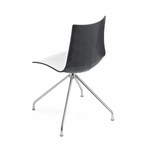 Zebra bicolor Scab Silla caballete