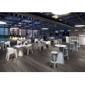 Frozen Dining Table Plust Mesita