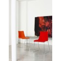 Zebra Scab Silla trineo