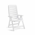 Quintilla Scab Design Silla