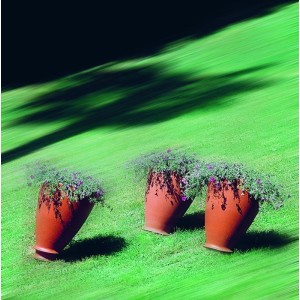 jarron-santavase-serralunga