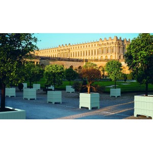 jarron-versailles-serralunga