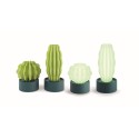 Cactus Serralunga de pie