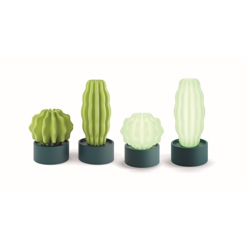Cactus Serralunga de pie