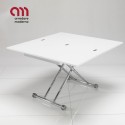 Flexy Tomasucci Mesa