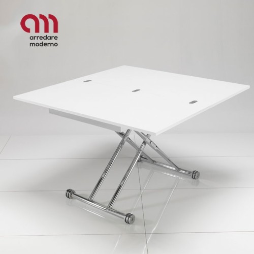 Flexy Tomasucci Mesa