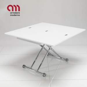 Flexy Tomasucci Mesa