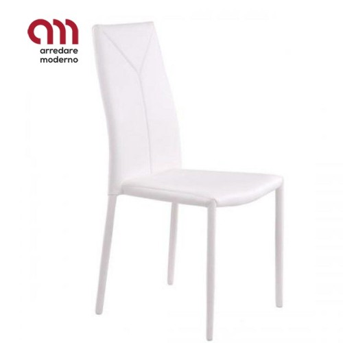 Sally Tomasucci Silla