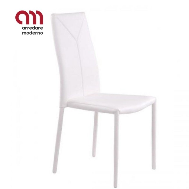 Sally Tomasucci Silla