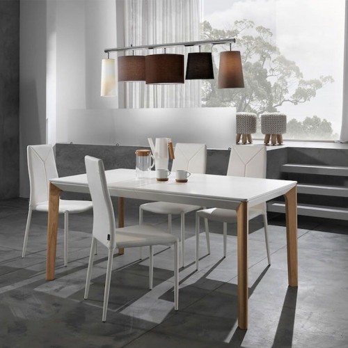 Sally Tomasucci Silla