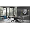 Hics 2 Tomasucci Mesa Extensible