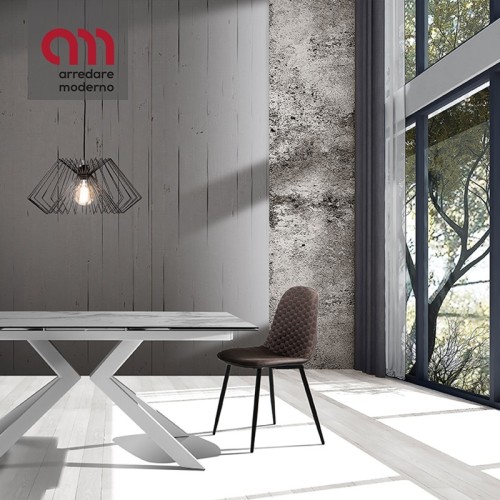 Tomasucci Gale Silla Moderna