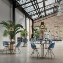 Polo Bontempi Silla polipropileno - madera