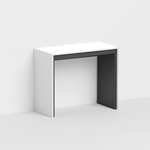 Leonardo Pezzani Mesa consola