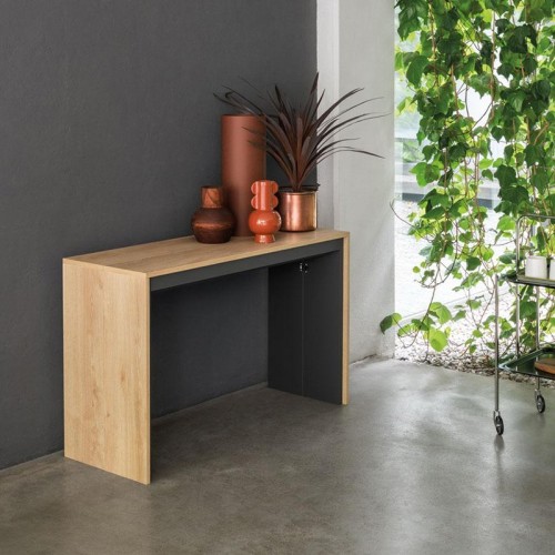 Leonardo Pezzani Mesa consola
