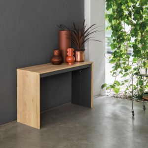 Leonardo Pezzani Mesa consola