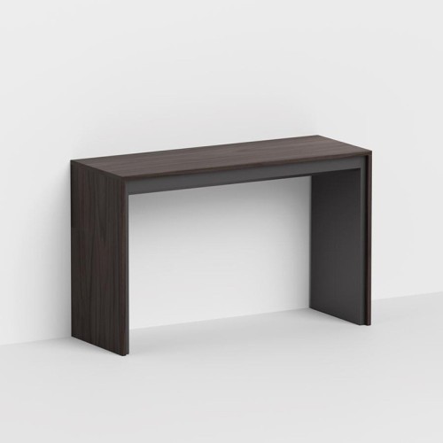 Leonardo Pezzani Mesa consola