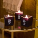 Vela Perfumada 190g Giudici e Notai Farmacia SS Annunziata Arti Maggiori