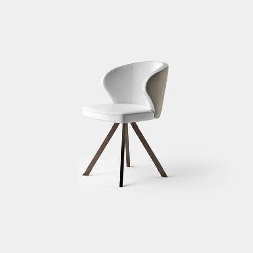 Dafne Pezzani Silla