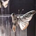 Jarrones de vidrio Illusion Butterfly Collection Adriani e Rossi
