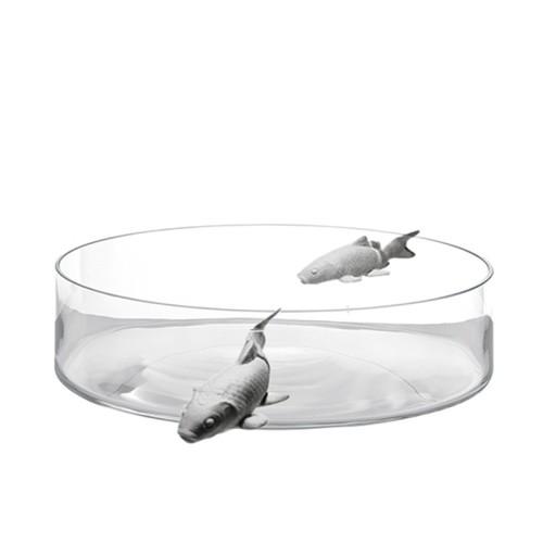 Jarrones de vidrio Illusion Fish Collection Adriani e Rossi