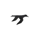 Decoraciones de pared Volo Wall Adriani e Rossi en oferta
